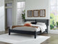 Danziar  Panel Bed With Mirrored Dresser And Nightstand